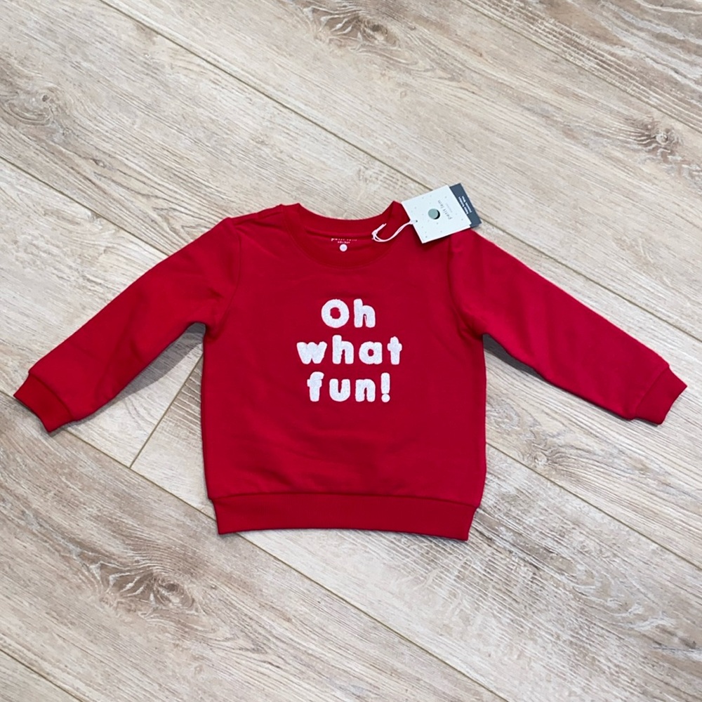NWT Petit Lem Holiday Sweatshirt 24 Months